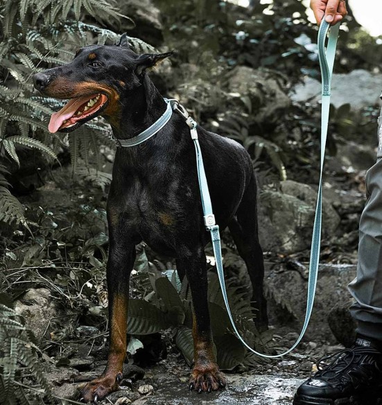 Helkuritega veekindel kaelarihm koerale (Dogness Water-Proof) Helkuritega veekindel kaelarihm koerale (Dogness Water-Proof)