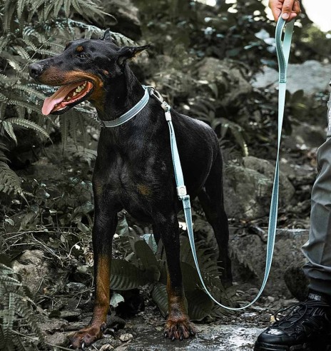 Helkuritega veekindel jalutusrihm koerale, must (Dogness Water-Proof)