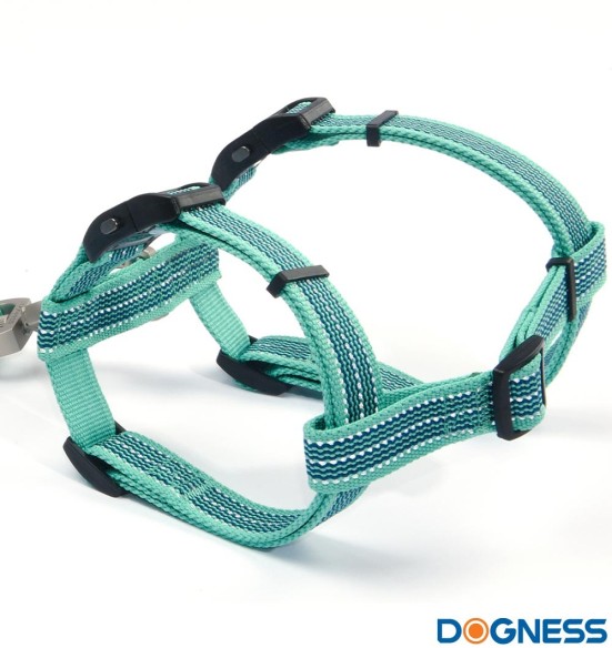 Muuda: Helkuritega vetthülgavad kerged traksid koerale, hall (Dogness Water-Proof) Muuda: Helkuritega vetthülgavad kerged traksid koerale, hall (Dogness Water-Proof)