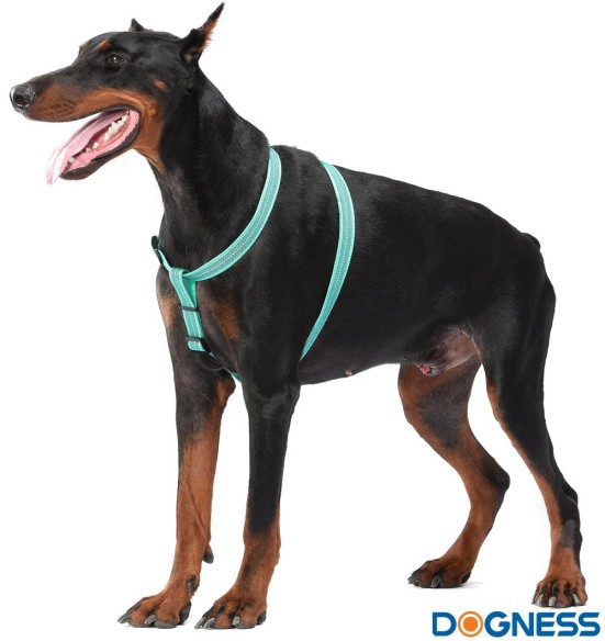 Muuda: Helkuritega vetthülgavad kerged traksid koerale, hall (Dogness Water-Proof) Muuda: Helkuritega vetthülgavad kerged traksid koerale, hall (Dogness Water-Proof)