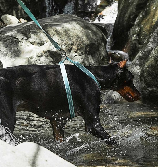 Muuda: Helkuritega vetthülgavad kerged traksid koerale, hall (Dogness Water-Proof) Muuda: Helkuritega vetthülgavad kerged traksid koerale, hall (Dogness Water-Proof)