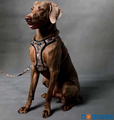 Traksid koerale roheline camo (Dogness Camo)