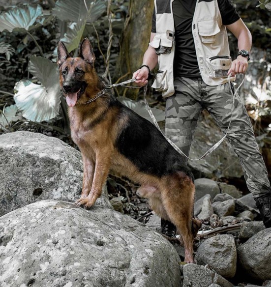 Поводок для собак амортизирующий, зелёный камуфляж (Dogness Camouflage) Поводок для собак амортизирующий, зелёный камуфляж (Dogness Camouflage)