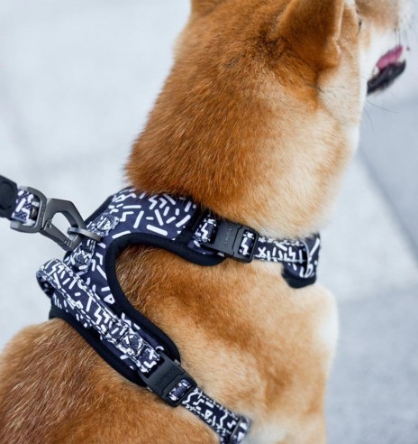 Шлейка для собак с мягкой подкладкой, чёрная с белыми буквами Black Letters (Dogness Elegant Printing)