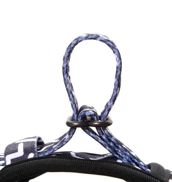 Pehmendusega traksid koerale, must tähtedega Black Letters (Dogness Elegant Printing)