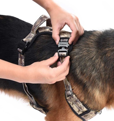 Traksid koerale roheline camo (Dogness Camo)