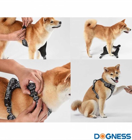 Шлейка для собак с мягкой подкладкой, серая с белыми буквами Grey Letters (Dogness Elegant Printing)