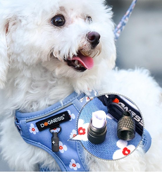 Traksid ja jalutusrihm väikesele koerale, kassile, kutsikale helesinine lilledega Forget Me Not Blue (Dogness Little Rascal)