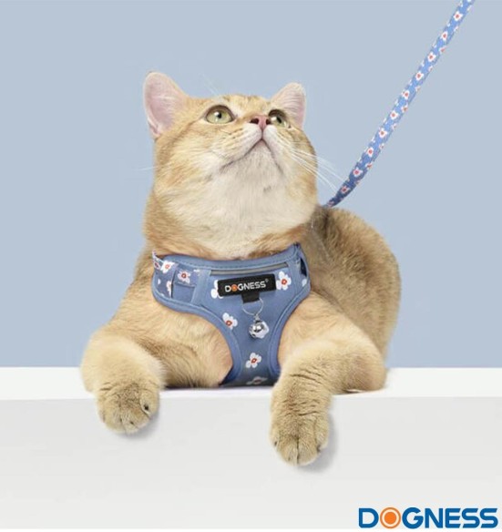 Traksid ja jalutusrihm väikesele koerale, kassile, kutsikale helesinine lilledega Forget Me Not Blue (Dogness Little Rascal)