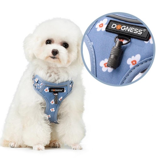 Traksid ja jalutusrihm väikesele koerale, kassile, kutsikale helesinine lilledega Forget Me Not Blue (Dogness Little Rascal)