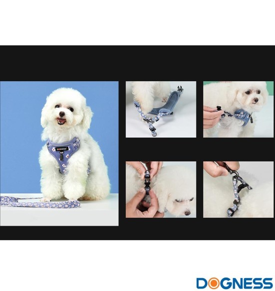 Traksid ja jalutusrihm väikesele koerale, kassile, kutsikale must karikakardega Black Daisy (Dogness Little Rascal)