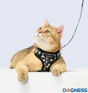 TUNDRA консервированный корм для щенков с индейкой, уткой и форелью, беззерновой – Консервы для собак – TUNDRA – Valgekihv 2