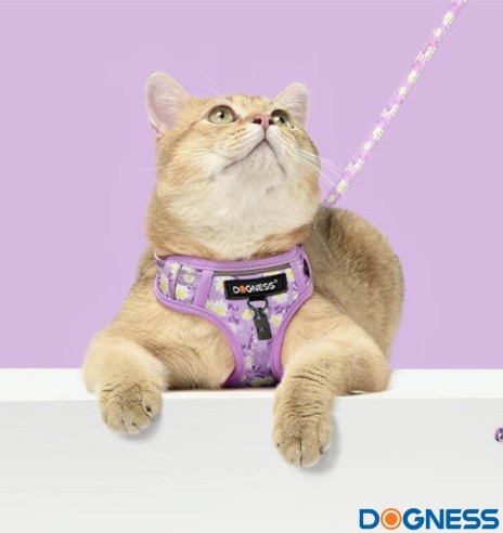 Traksid ja jalutusrihm väikesele koerale, kassile, kutsikale, helelilla karikakardega Calamus Purple (Dogness Little Rascal)