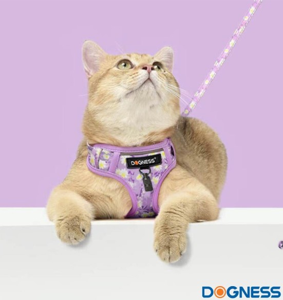 Traksid ja jalutusrihm väikesele koerale, kassile, kutsikale, helelilla karikakardega Calamus Purple (Dogness Little Rascal)