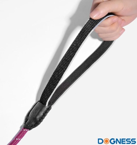 Lassorihm koerale, treeningrihm, oliiviroheline (Dogness Training)