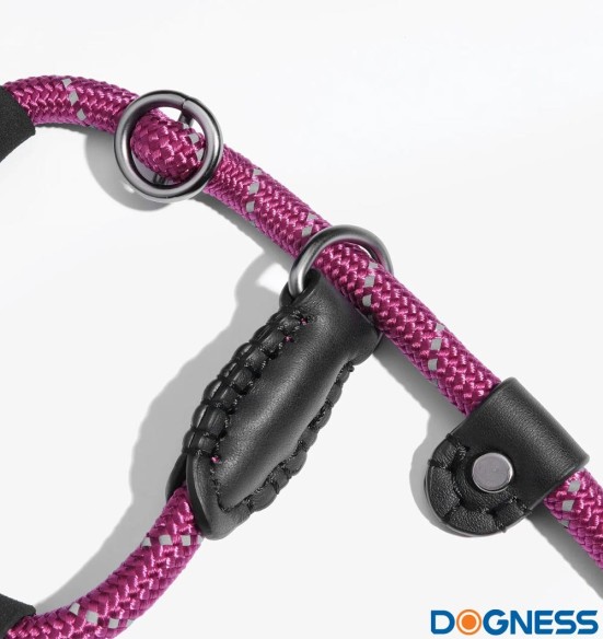 Lasso jalutusrihm koerale, treeningrihm, helkuritega, rohelise-roosa mix (Dogness Training)