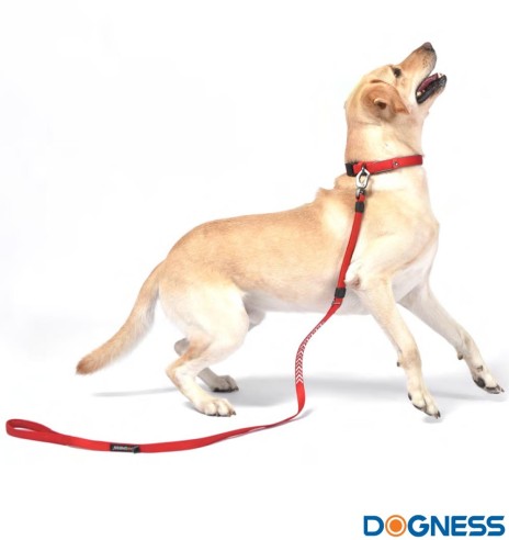 Jalutusrihm koerale, anti-shock, helkuritega, punane (Dogness Reflective)