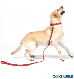 Jalutusrihm koerale, anti-shock, helkuritega, punane (Dogness Reflective)–Ekspandriga–Dogness–Valgekihv 2