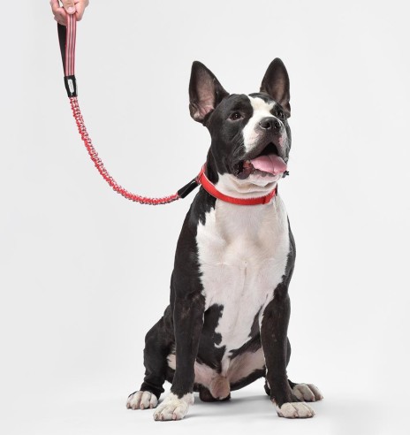 Anti-shock jalutusrihm koerale, helkuritega, must (Dogness Anti-Shock)