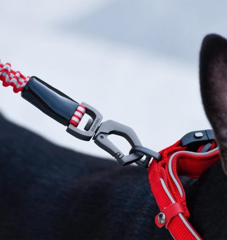 Anti-shock jalutusrihm koerale, helkuritega, must (Dogness Anti-Shock)