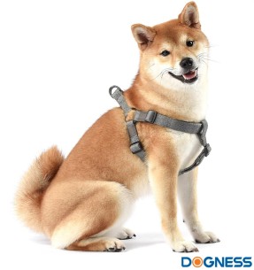 Transpordipuur koerale, erinevad suurused Travel Kennel (Pawise)–Transpordipuurid–Pawise–Valgekihv 2