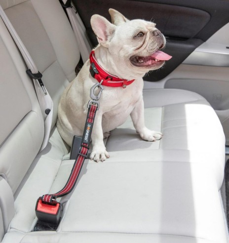 Turvarihm autosse, pikk, must/punane (Dogness)