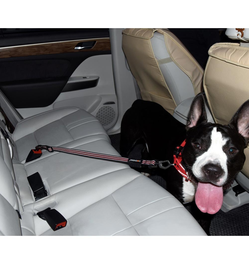 Ремень безопасности для собаки в машине Wah. Размер S/M (2999-7290)