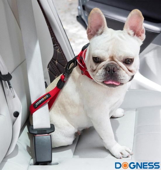 Auto turvarihm koerale, lühike, punane (Dogness)