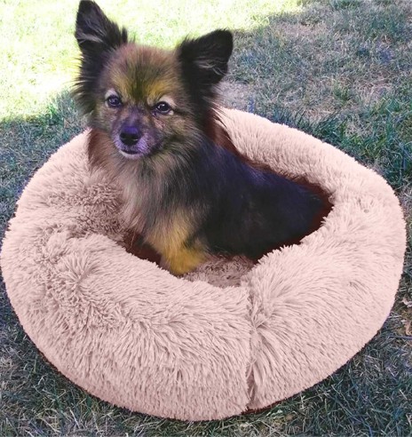 Rahustav pesa koerale Calming Basket (Doogy)