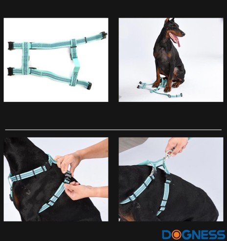 Muuda: Helkuritega vetthülgavad kerged traksid koerale, roheline (Dogness Water-Proof)