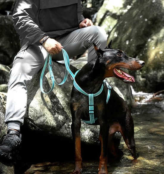 Muuda: Helkuritega vetthülgavad kerged traksid koerale, roheline (Dogness Water-Proof)