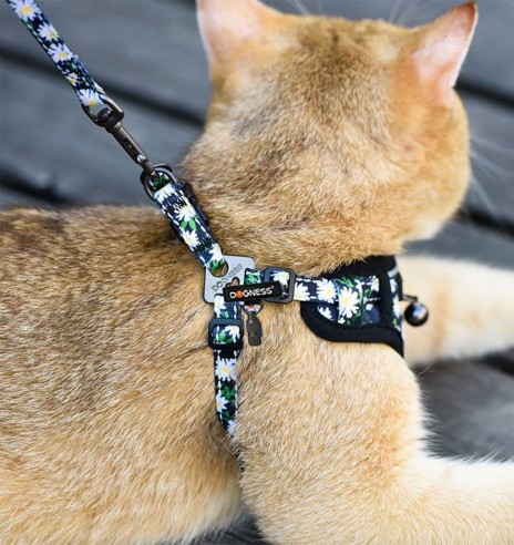 Traksid ja jalutusrihm väikesele koerale, kassile, kutsikale must karikakardega Black Daisy (Dogness Little Rascal)