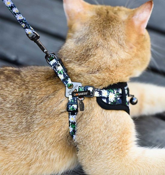 Traksid ja jalutusrihm väikesele koerale, kassile, kutsikale must karikakardega Black Daisy (Dogness Little Rascal)