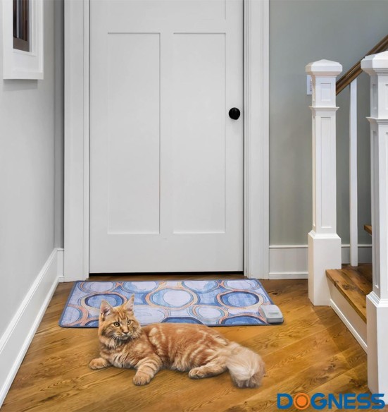 Treeningmatt koerale ja kassile Pet Training Pad (Dogness)