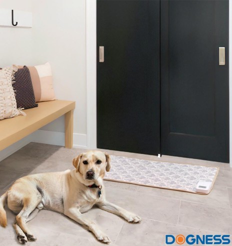 Treeningmatt koerale ja kassile Pet Training Pad (Dogness)