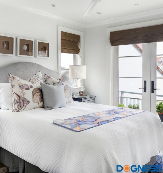 Treeningmatt koerale ja kassile Pet Training Pad (Dogness)