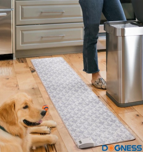 Treeningmatt koerale ja kassile Pet Training Pad (Dogness)