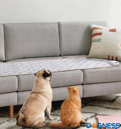 Treeningmatt koerale ja kassile Pet Training Pad (Dogness)