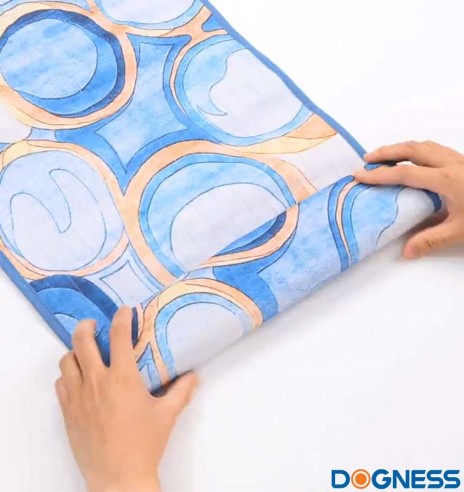 Treeningmatt koerale ja kassile Pet Training Pad (Dogness)