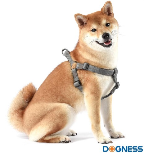 Puuvillased traksid koerale, roheline kamuflaaž (Dogness Modal Cotton)