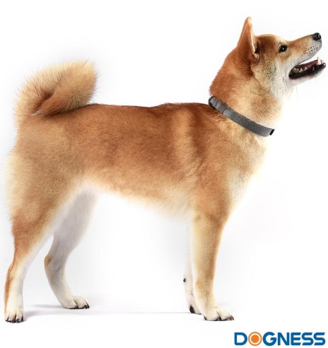 Шлейка для собак, натуральный модал и хлопок, серый (Dogness Modal Cotton)