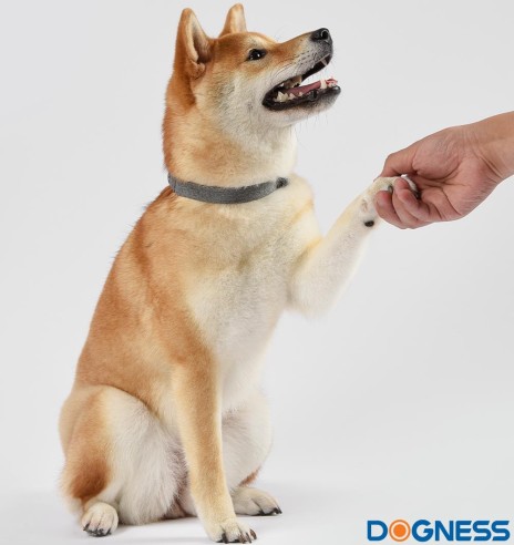 Шлейка для собак, натуральный модал и хлопок, серый (Dogness Modal Cotton)