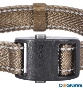 Trepp koerale (Pawise)–Trepid–Pawise–Valgekihv 2