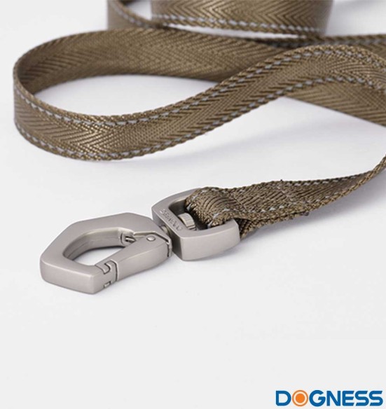 Jalutusrihm koerale, nailonrihm helkurniitidega, pruun (Dogness Herringbone Webbing)