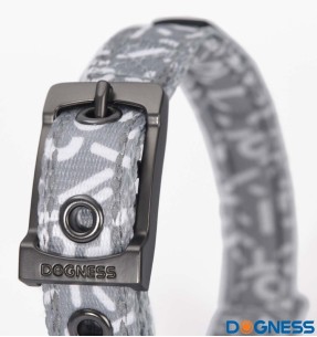 Поводок для собак со светоотражающими нитками, 5/10/15 м (Pawise) – Jäljerihmad – Pawise – Valgekihv 2