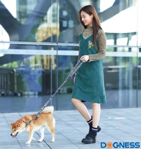 Ошейник для собак, чёрный с белыми буквами Black Letters (Dogness Elegant Printing)