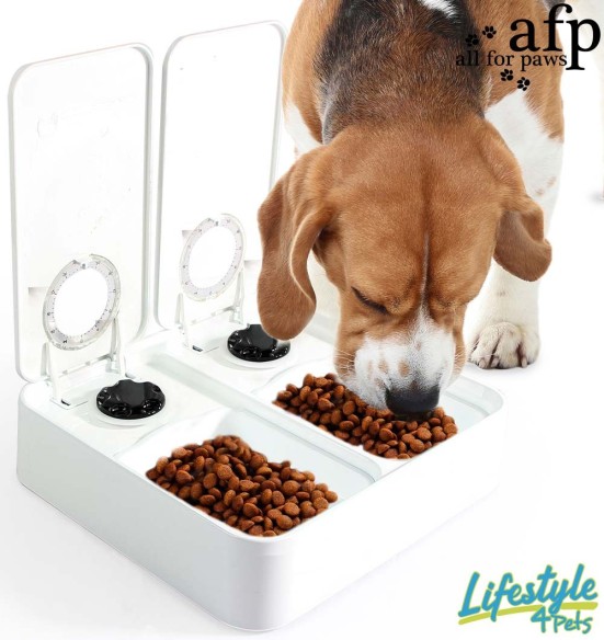 Automaatsöötja kahe anumaga, kaheks toidukorraks (AFP - Lifestyle 4 Pets)
