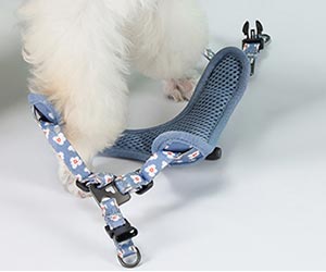 Dogness traksid ja jalutusrihm pehmendusega mugavad väikesele koerale kassile helkuritega Dogness Little Dog Cat