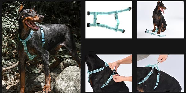 Dogness dog harnesses waterproof koerte traksid helkuritega