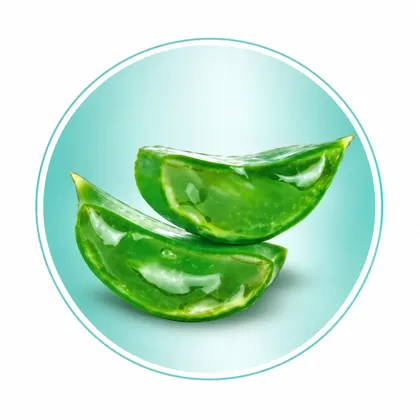 Aaloe käpahooldus – Biokat’s Bianco Fine Fresh Aloe